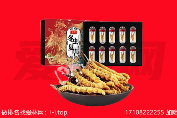 西安市回收虫草.jpg